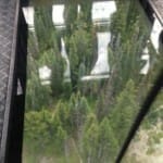 Treetops through the gondola glass bottom. Copyright 2015 Ariel F. Hubbard www.arielhubbard.com
